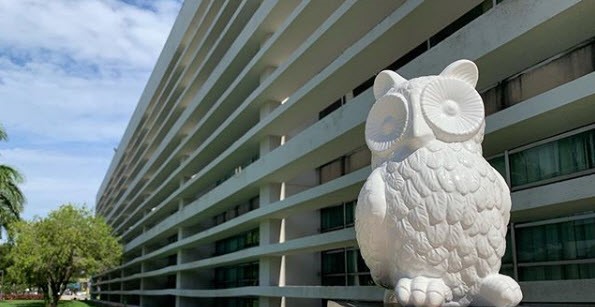 Owl in front of the Wimberly Library on the Boca Raton Campus