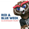Save the Date: Summer Scavenger Hunt at University Libraries